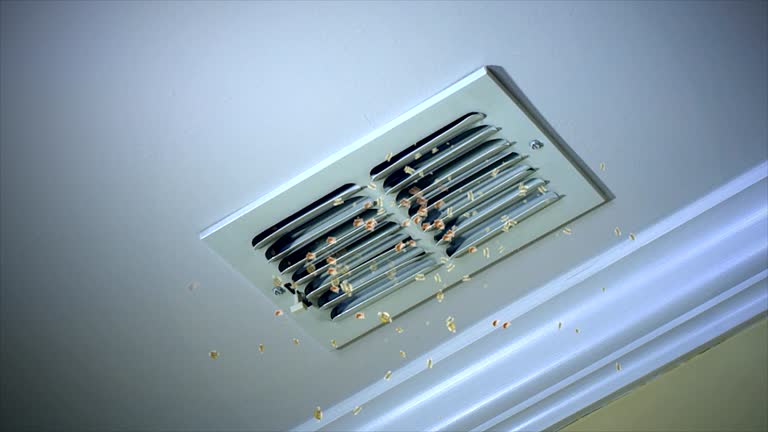 Best Air Vent Cleaning Services  in Manchester, GA