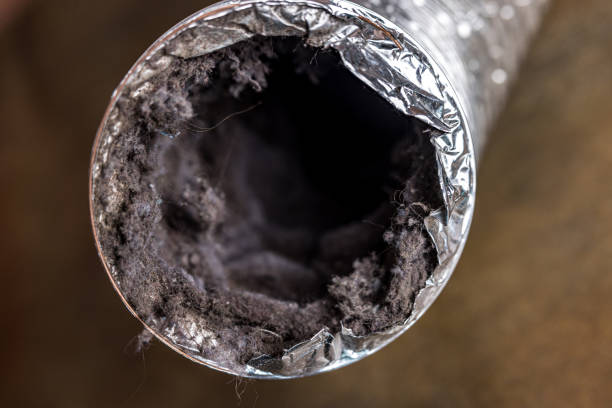 Best Air Duct Cleaning Near Me  in Manchester, GA
