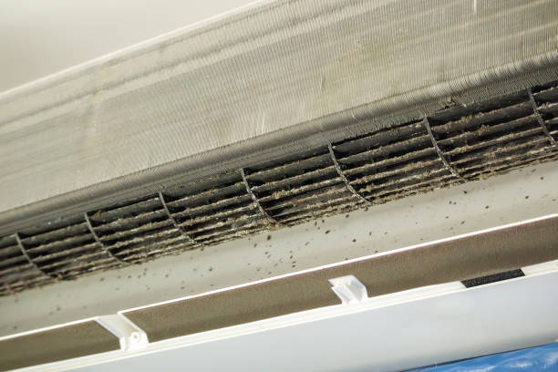 Best Ventilation Cleaning Services  in Manchester, GA